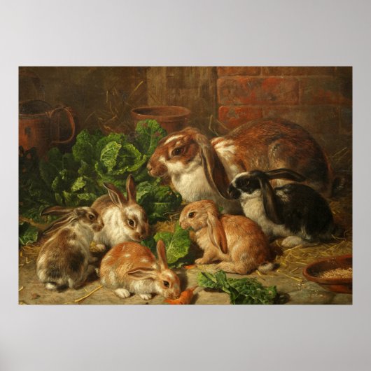 A Family of Rabbit by Alfred Richardson Barber Poster (Voorkant)