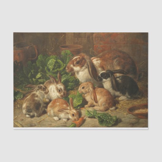 A Family of Rabbit by Alfred Richardson Barber Tissuepapier (Voorkant)