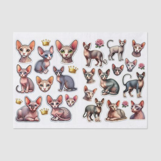 A Fantastic Mix of Hairless Cats Illustrations Tissuepapier (Voorkant)
