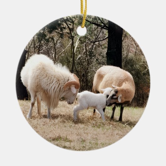 A Farmhouse Christmas Keramisch Ornament (Voorkant)