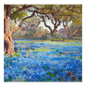 A Field of Bluebonnets at Alamo Heights 1919, Foto Afdruk (Voorkant)