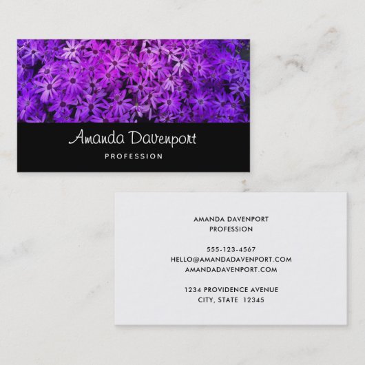 A field of Purple and Pink Daisies Visitekaartje (Voorkant / Achterkant)