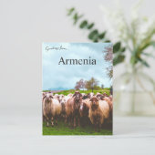 A Flock of Sheep in Kotayk Province Armenia Briefkaart (Staand voorkant)