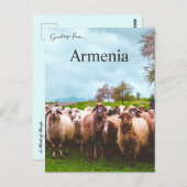 A Flock of Sheep in Kotayk Province Armenia Briefkaart (Voorkant / Achterkant)
