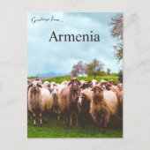 A Flock of Sheep in Kotayk Province Armenia Briefkaart (Voorkant)