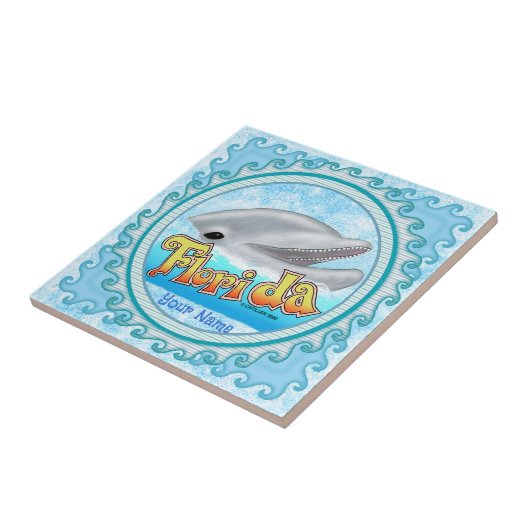 A Florida Dolphin Tegeltje (Zijkant)
