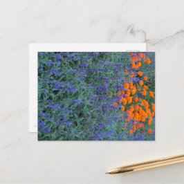 A flower garden of blue salvia and marigolds. briefkaart