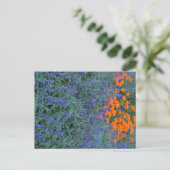 A flower garden of blue salvia and marigolds. briefkaart (Staand voorkant)
