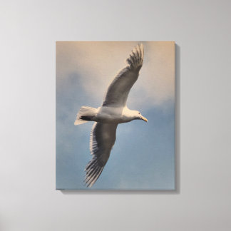 A flying seagull on Stretched Canvas Print
