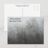 A foggy day on the Skyline Drive in Virginia Briefkaart (Voorkant / Achterkant)