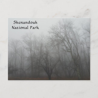 A foggy day on the Skyline Drive in Virginia Briefkaart