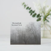 A foggy day on the Skyline Drive in Virginia Briefkaart (Staand voorkant)