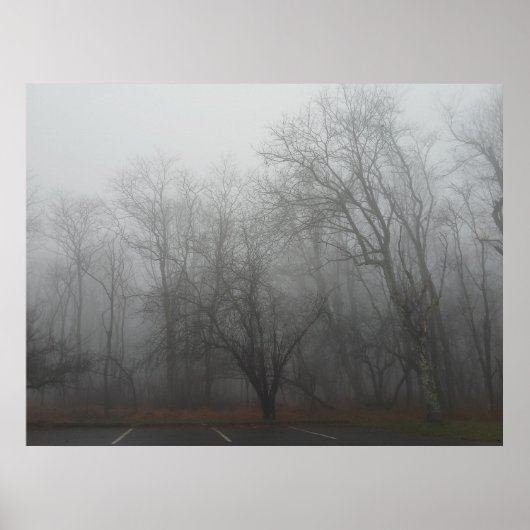 A foggy day on the Skyline Drive in Virginia Poster (Voorkant)