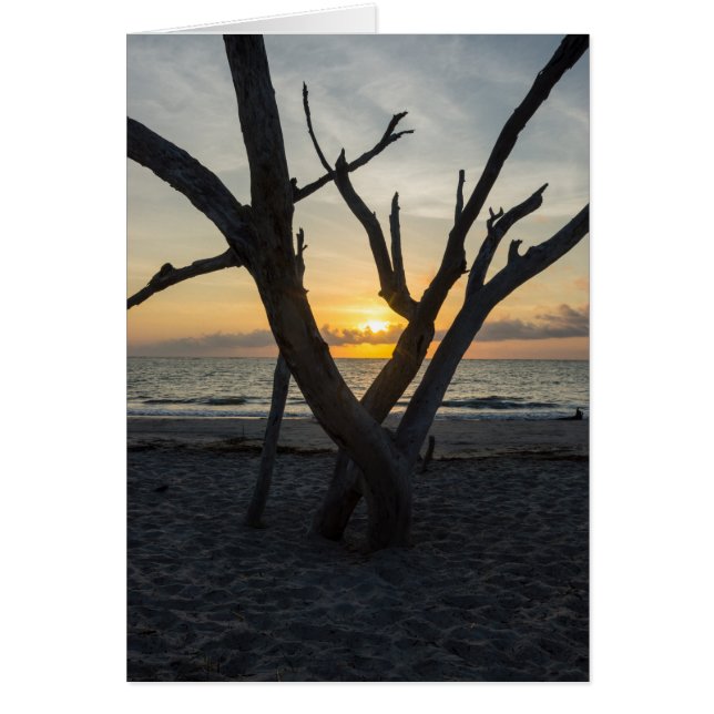 A Folly Sunrise (Voorkant)