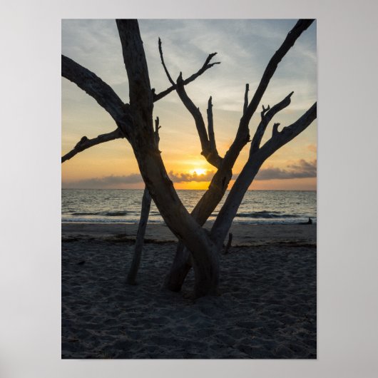 A Folly Sunrise Poster (Voorkant)