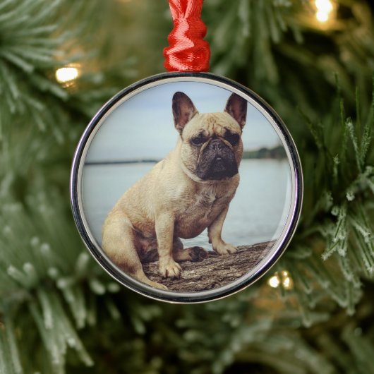 A French Bulldog Metalen Ornament (Boom)