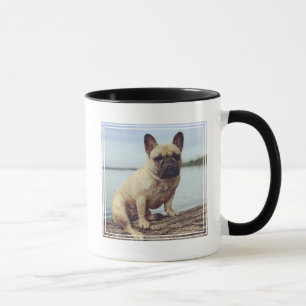 A French Bulldog Mok