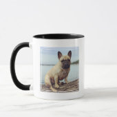 A French Bulldog Mok (Links)