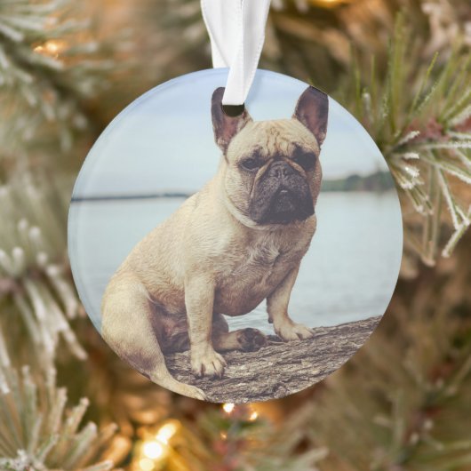 A French Bulldog Ornament (Boom)