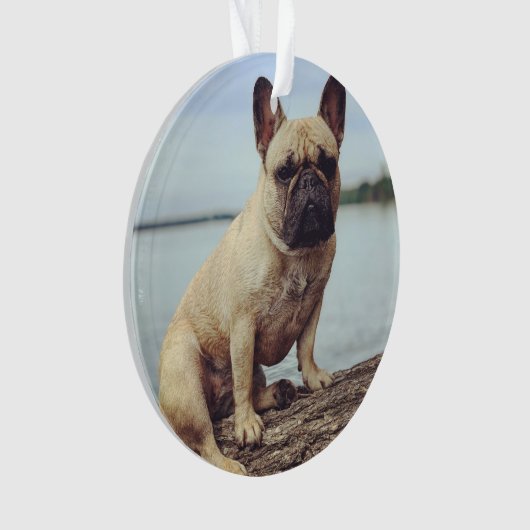 A French Bulldog Ornament (voorkant)