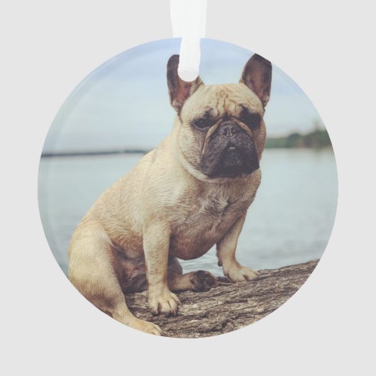 A French Bulldog Ornament (achterkant)
