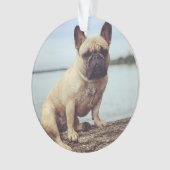 A French Bulldog Ornament (voorkant)