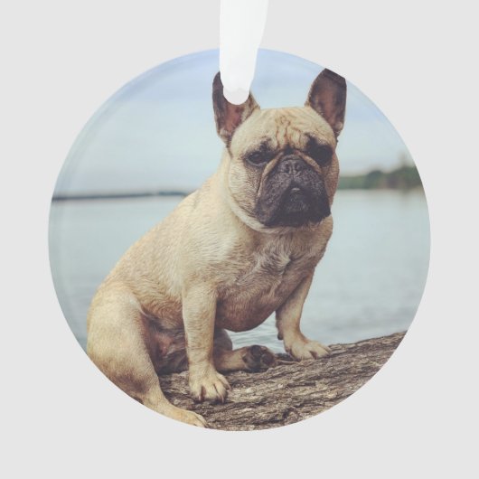 A French Bulldog Ornament (voorkant)