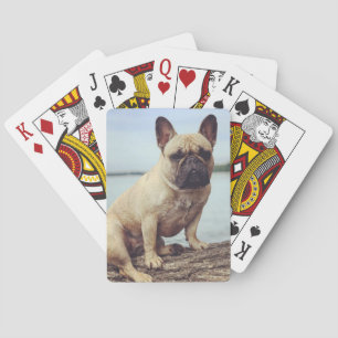 A French Bulldog Pokerkaarten