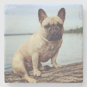 A French Bulldog Stenen Onderzetter