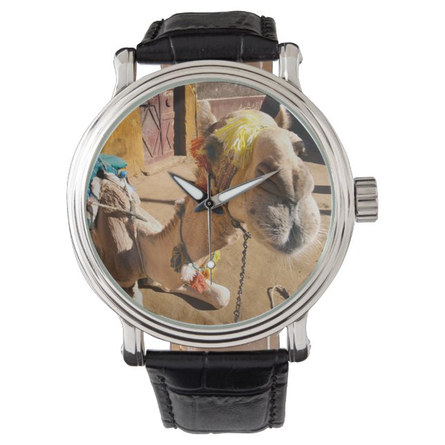 A friendly camel awaits its next rider, Cairo. Horloge (Voorkant)