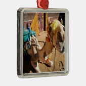 A friendly camel awaits its next rider, Cairo. Metalen Ornament (Rechts)