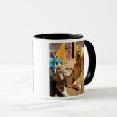 A friendly camel awaits its next rider, Cairo. Mok (Voorkant rechts)