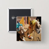A friendly camel awaits its next rider, Cairo. Vierkante Button 5,1 Cm (Voorkant /achterkant)