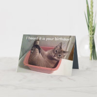 A Funny Cat Birthday Card 5X7