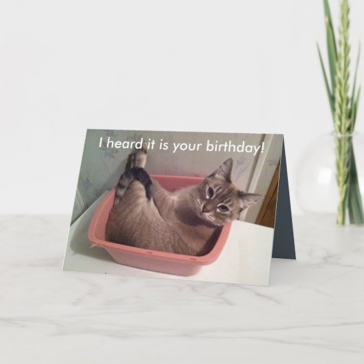 A Funny Cat Birthday Card 5X7 Kaart (Voorkant)