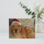 A Golden Retriever at Christmas with Santa Hat Feestdagenkaart (Staand voorkant)