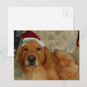A Golden Retriever at Christmas with Santa Hat Feestdagenkaart (Voorkant / Achterkant)