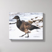 A Goosesteppin' Brant Canvas Afdruk (Voorkant)