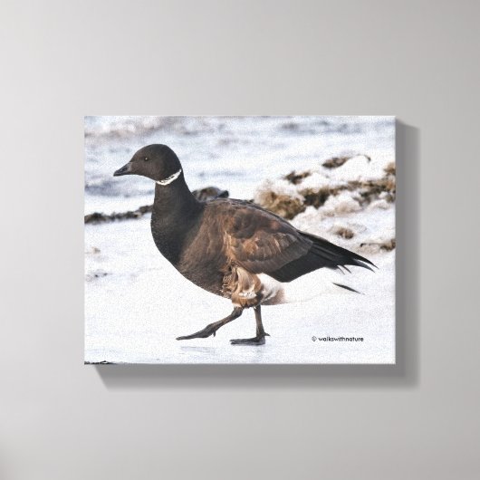 A Goosesteppin' Brant Canvas Afdruk (Voorkant)