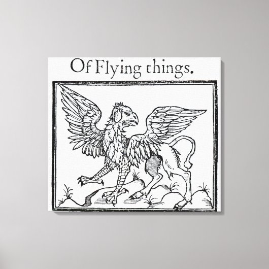 A Griffin Canvas Afdruk (Voorkant)