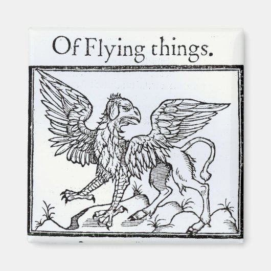 A Griffin Magneet (Voorkant)