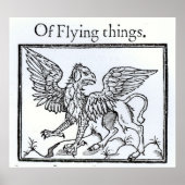 A Griffin Poster (Voorkant)