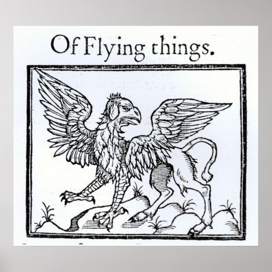 A Griffin Poster (Voorkant)