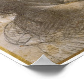 A Grotesque Head, Leonardo da Vinci Poster (Hoek)