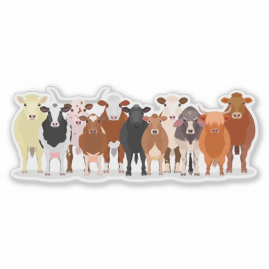 a group of cow sticker (Voorkant)