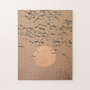 A group of migratory snow geese legpuzzel