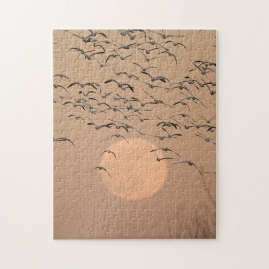 A group of migratory snow geese legpuzzel (Verticaal)