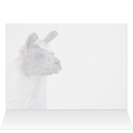 A Happy Llama (Binnen Horizontaal (Boven))