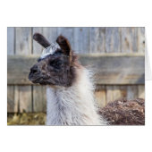 A Happy Llama (Voorkant Horizontaal)