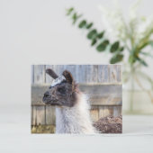 A Happy Llama Briefkaart (Staand voorkant)